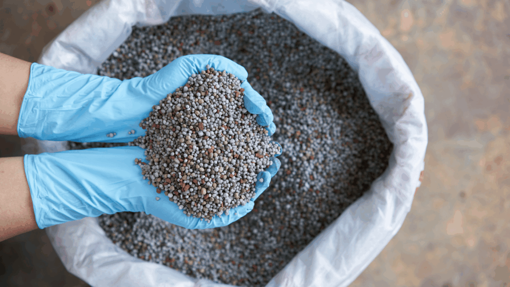 Pessoa verificando grãos de fertilizante, produto que exige lubrificantes resistentes em misturadores